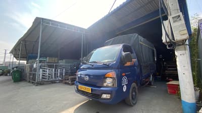 Ms Technical factory