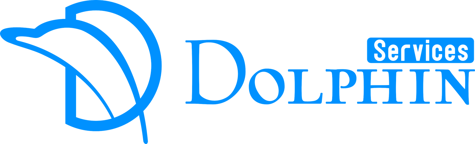 Dolphin Services Logo